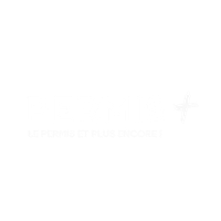 Logo Permis + blanc
